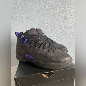 Jordan 12s Dark Concords